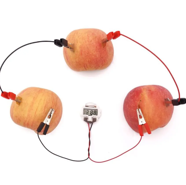 Be a Boffin - Fruit Power Generation Experiment