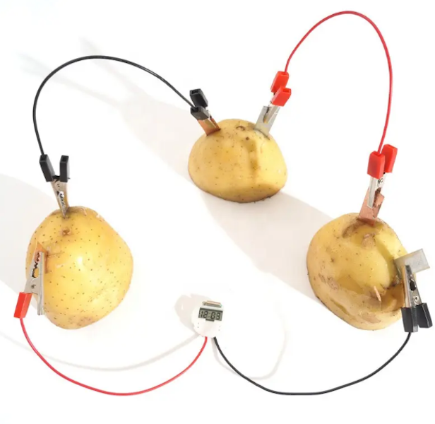 Be a Boffin - Fruit Power Generation Experiment