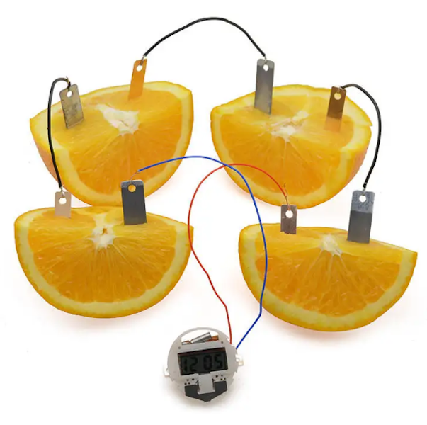 Be a Boffin - Fruit Power Generation Experiment